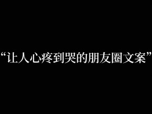 一个接一个的做了我-他们一个接一个的做了我，却不理解我的心