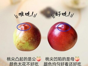 如何挑选新鲜的 1hhhh 蜜桃？