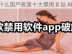 为什么国产夜里十大禁用 B 站 APP？