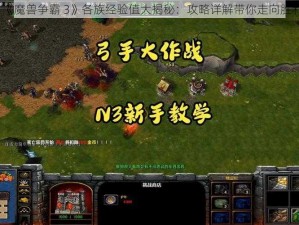 《魔兽争霸 3》各族经验值大揭秘：攻略详解带你走向胜利