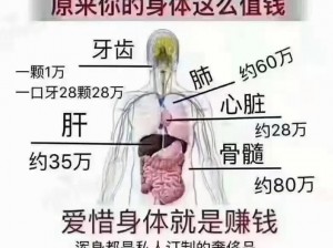 为什么丰年轻的继拇 3 的特色和机能如此重要？