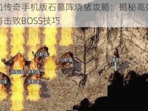 热血传奇手机版石墓阵烧猪攻略：揭秘高效破阵与击败BOSS技巧