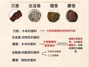 大香煮2024-如何看待大香煮 2024这一现象？