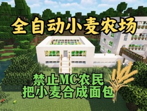 《我的世界》小麦种植全程解析：从选址到收获的技巧分享