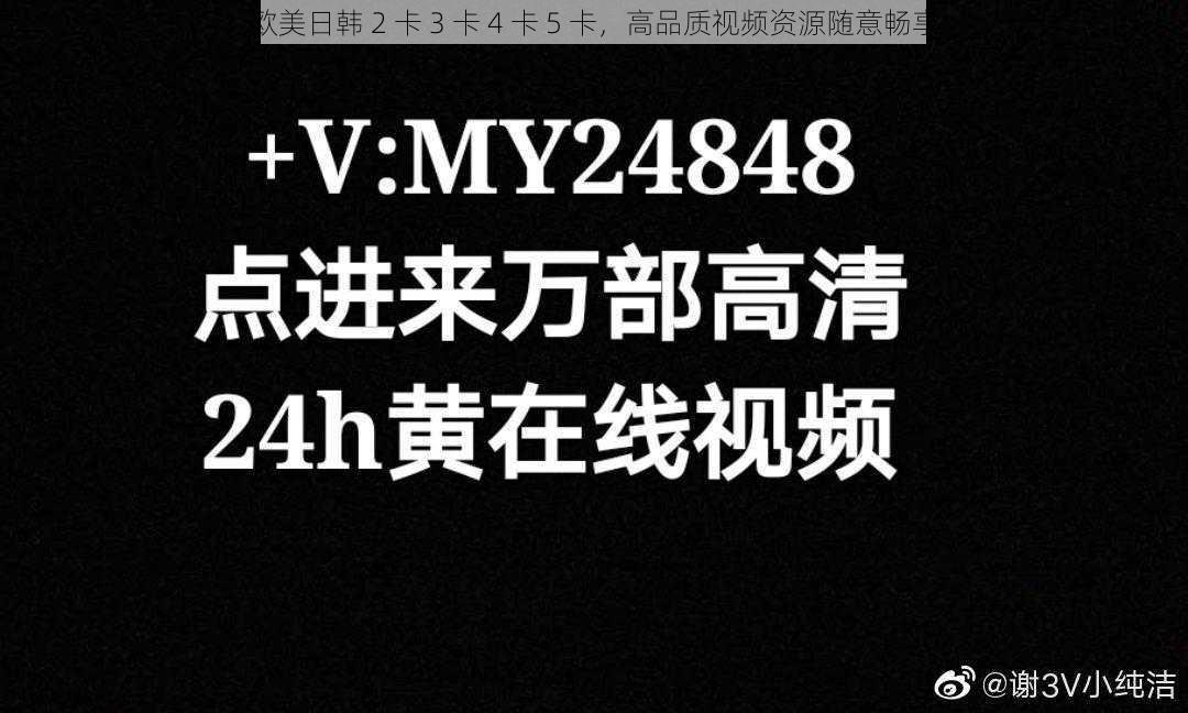 欧美日韩 2 卡 3 卡 4 卡 5 卡，高品质视频资源随意畅享