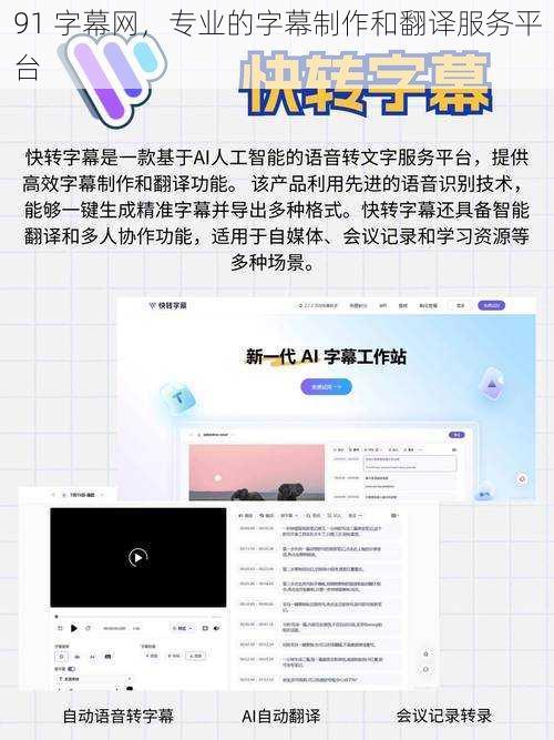 91 字幕网，专业的字幕制作和翻译服务平台