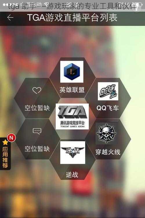 tga 助手——游戏玩家的专业工具和伙伴