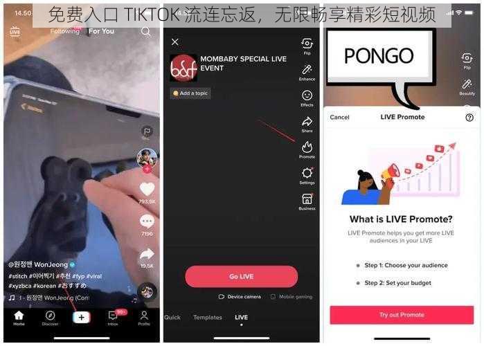 免费入口 TIKTOK 流连忘返，无限畅享精彩短视频