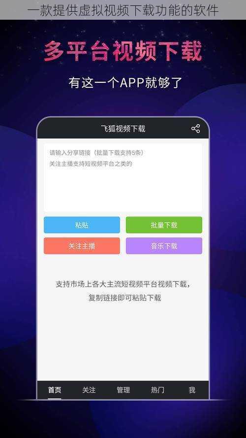 一款提供虚拟视频下载功能的软件