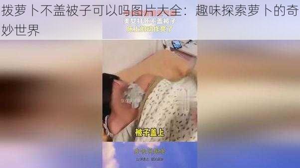 拨萝卜不盖被子可以吗图片大全：趣味探索萝卜的奇妙世界