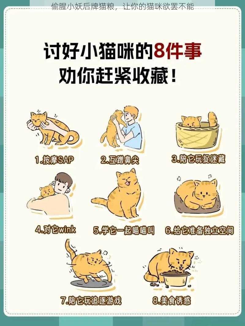 偷腥小妖后牌猫粮，让你的猫咪欲罢不能