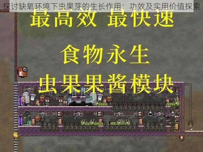 探讨缺氧环境下虫果芽的生长作用：功效及实用价值探索