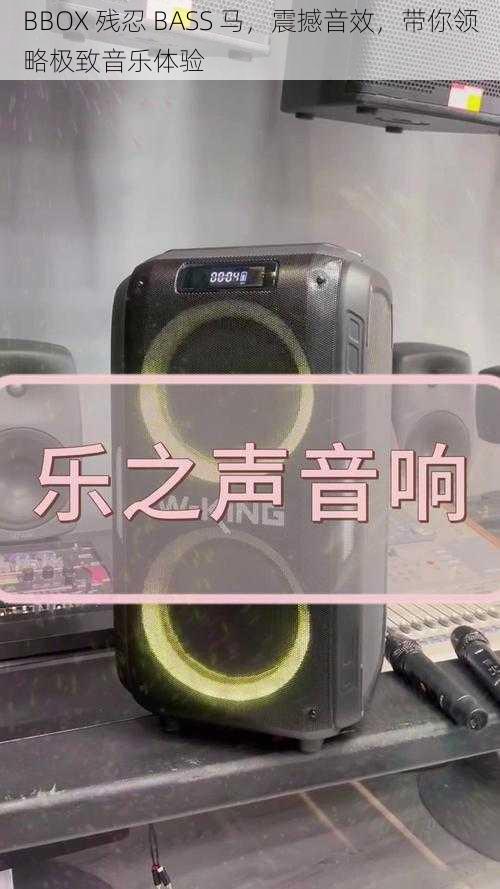 BBOX 残忍 BASS 马，震撼音效，带你领略极致音乐体验