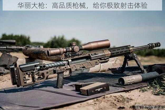 华丽大枪：高品质枪械，给你极致射击体验