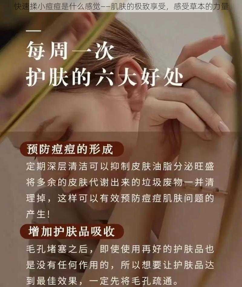 快速揉小痘痘是什么感觉——肌肤的极致享受，感受草本的力量