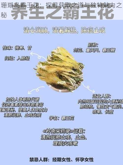 珊瑚岛霸王花：探寻获取之道与独特魅力之秘