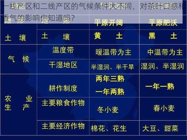 一线产区和二线产区的气候条件大不同，对茶叶口感和香气的影响你知道吗？