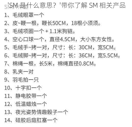 'SM 是什么意思？'带你了解 SM 相关产品