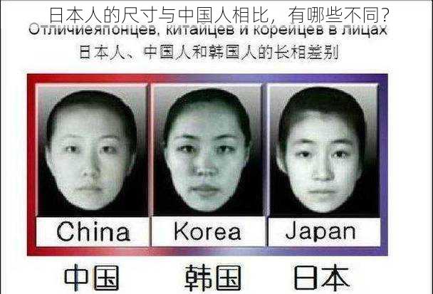 日本人的尺寸与中国人相比，有哪些不同？