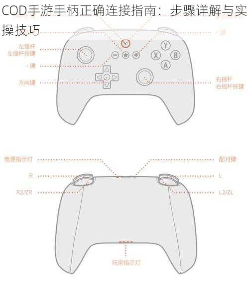 COD手游手柄正确连接指南：步骤详解与实操技巧