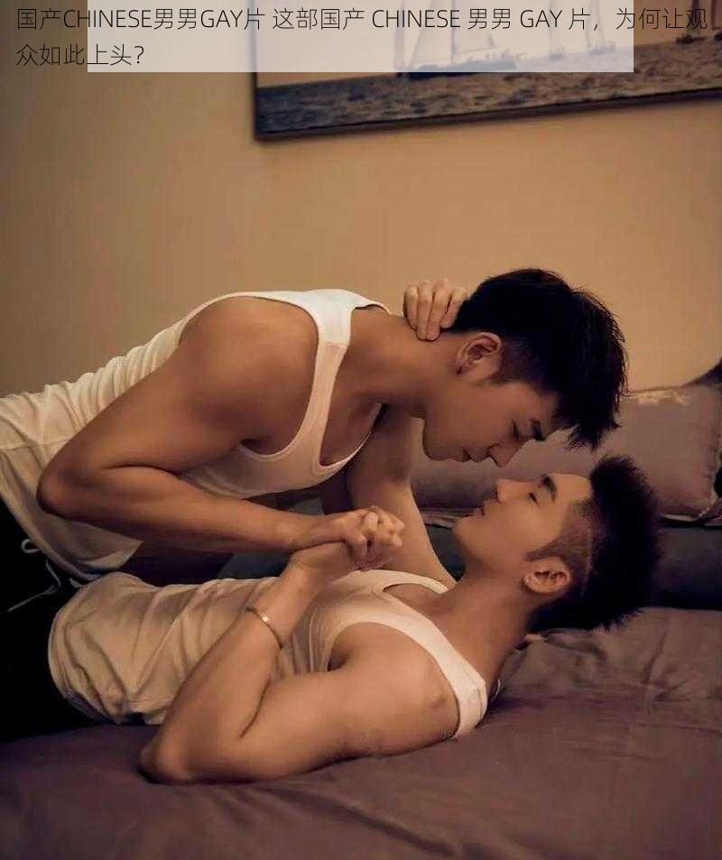 国产CHINESE男男GAY片 这部国产 CHINESE 男男 GAY 片，为何让观众如此上头？