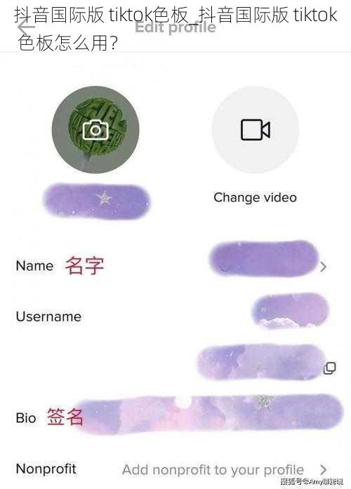 抖音国际版 tiktok色板_抖音国际版 tiktok 色板怎么用？