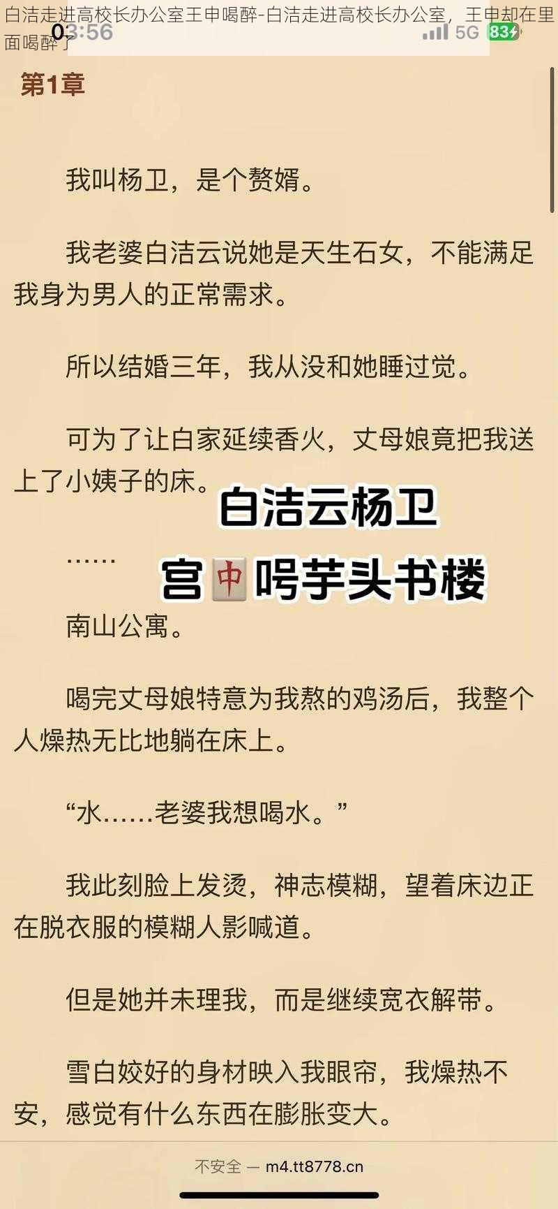 白洁走进高校长办公室王申喝醉-白洁走进高校长办公室，王申却在里面喝醉了