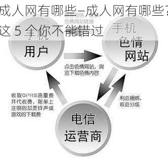 成人网有哪些—成人网有哪些？这 5 个你不能错过