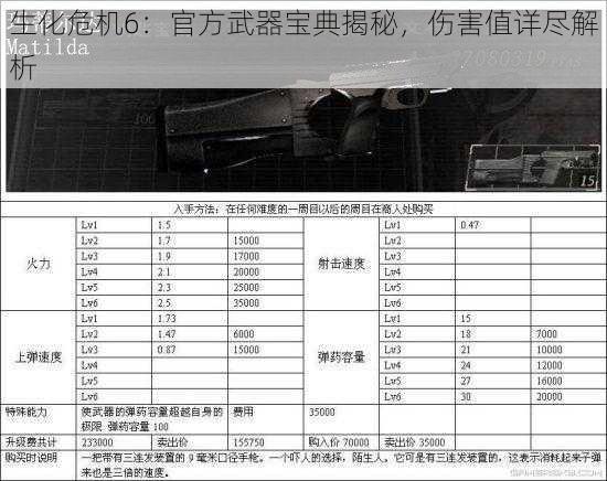 生化危机6：官方武器宝典揭秘，伤害值详尽解析