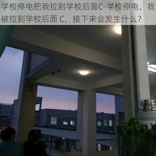 学校停电把我拉到学校后面C-学校停电，我被拉到学校后面 C，接下来会发生什么？