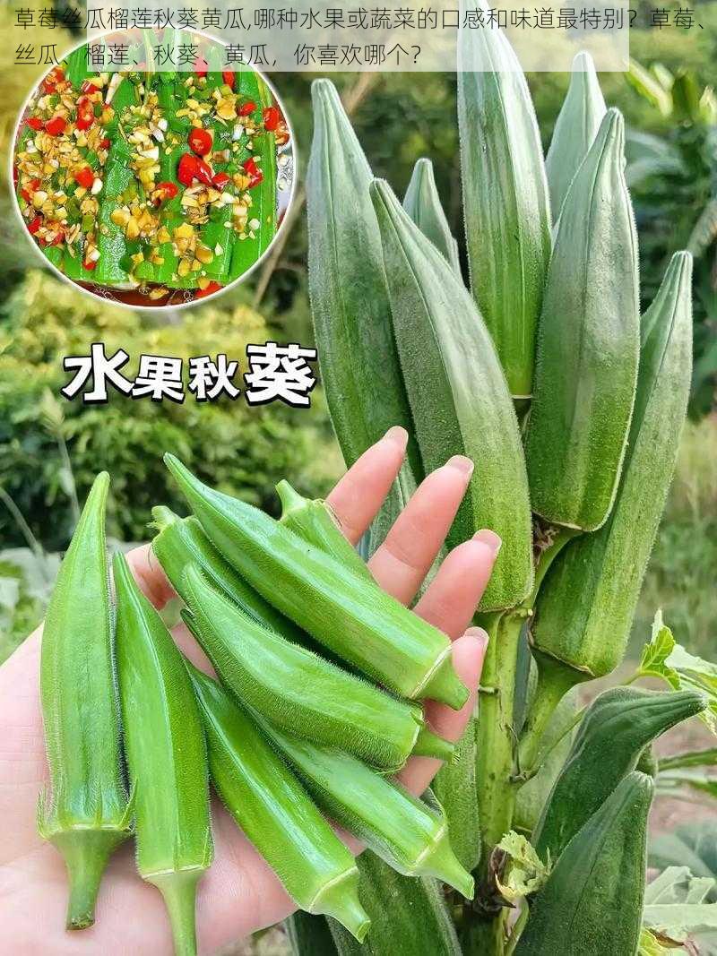 草莓丝瓜榴莲秋葵黄瓜,哪种水果或蔬菜的口感和味道最特别？草莓、丝瓜、榴莲、秋葵、黄瓜，你喜欢哪个？