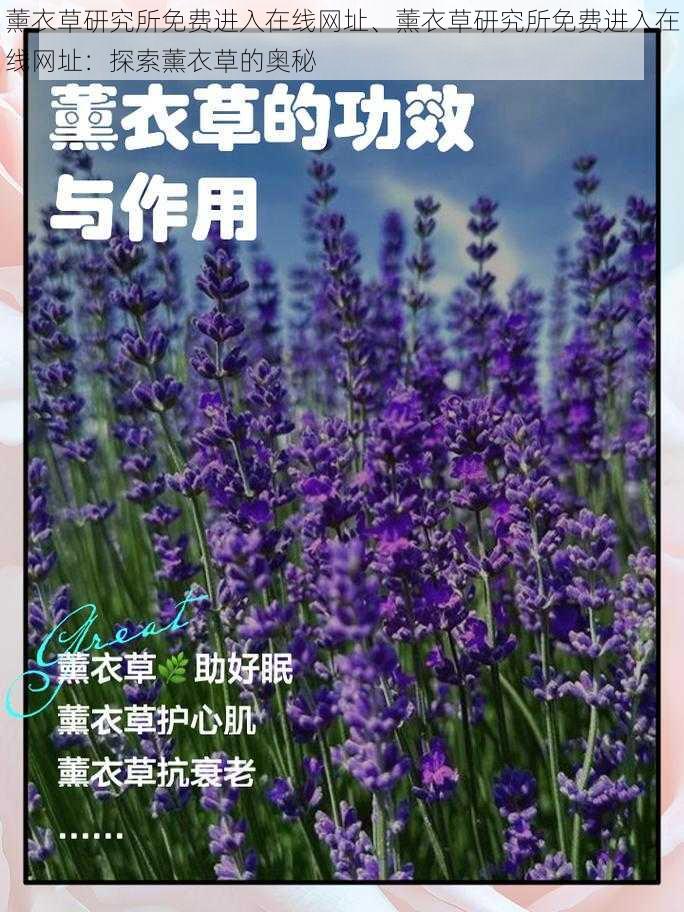 薰衣草研究所免费进入在线网址、薰衣草研究所免费进入在线网址：探索薰衣草的奥秘