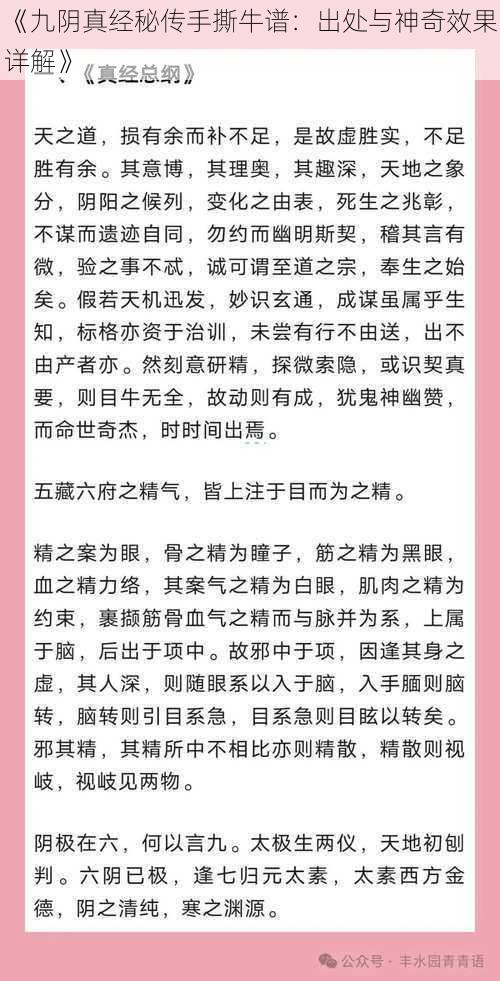 《九阴真经秘传手撕牛谱：出处与神奇效果详解》