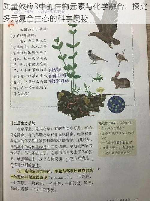 质量效应3中的生物元素与化学融合：探究多元复合生态的科学奥秘