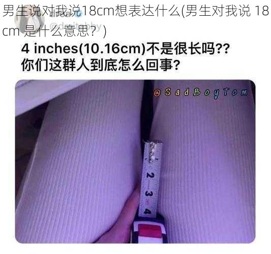 男生说对我说18cm想表达什么(男生对我说 18cm 是什么意思？)