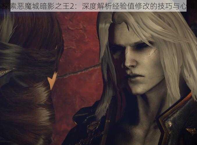 探索恶魔城暗影之王2：深度解析经验值修改的技巧与心得