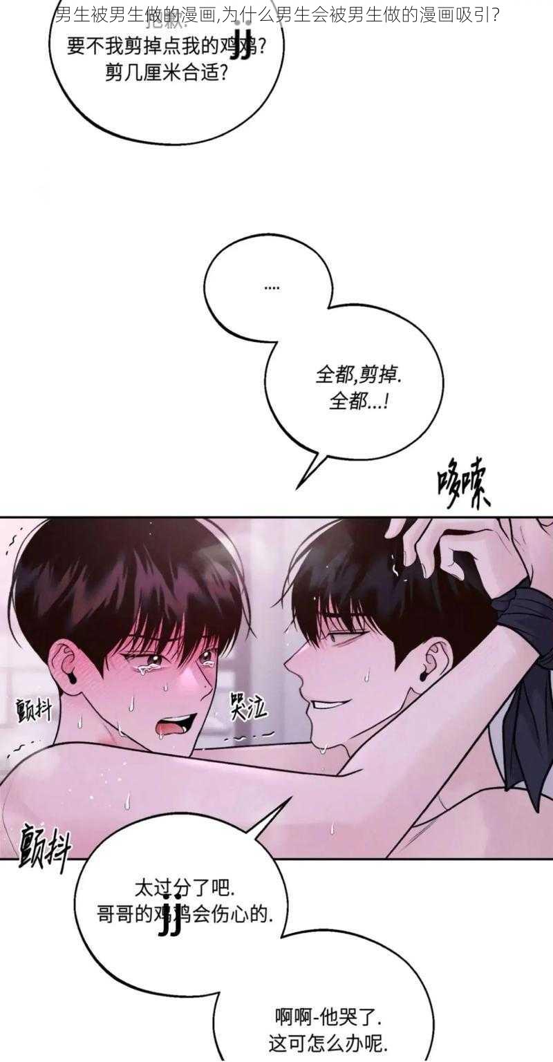 男生被男生做的漫画,为什么男生会被男生做的漫画吸引？