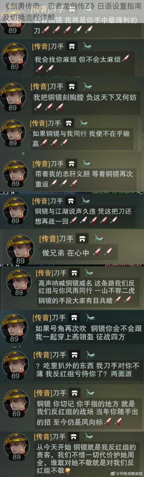 《剑勇传奇：忍者龙剑传Z》日语设置指南及切换流程详解