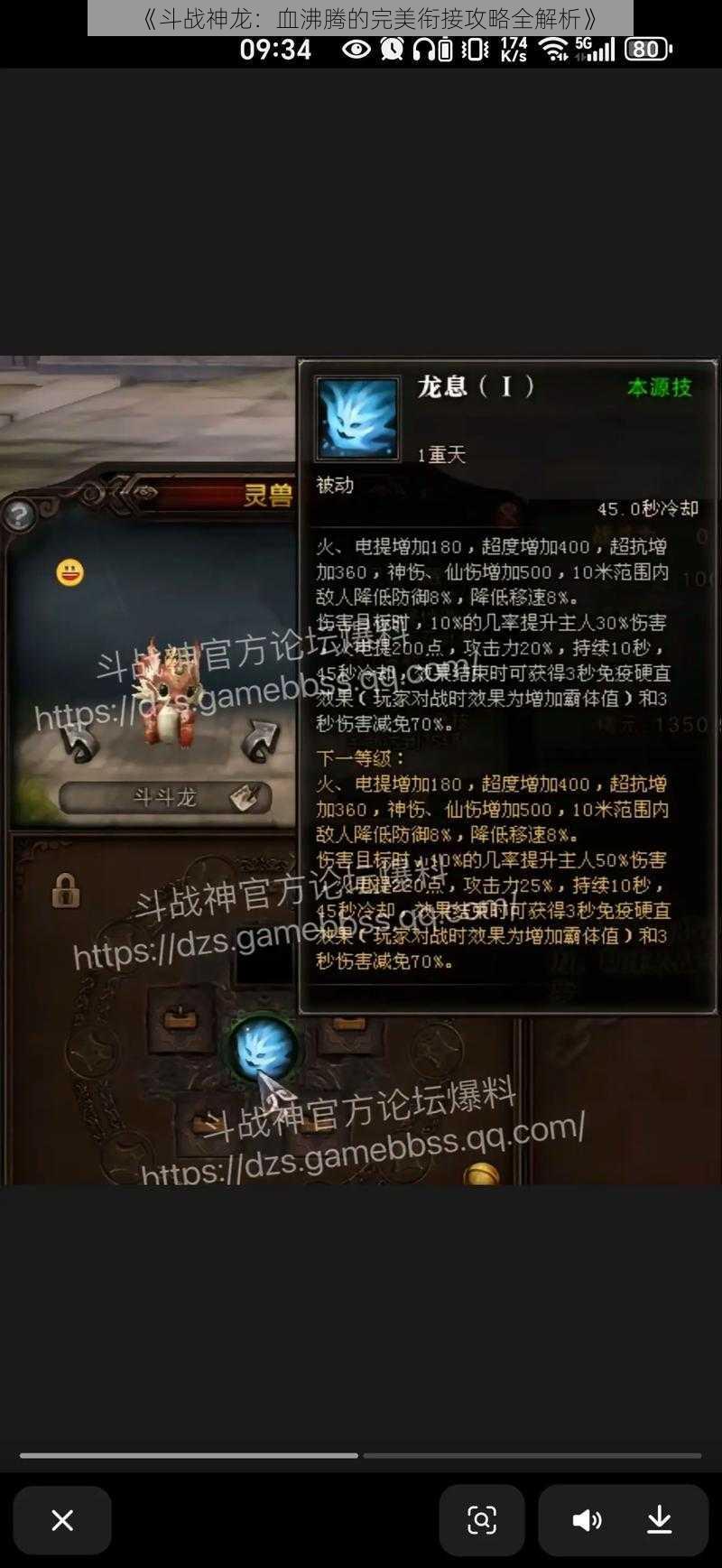 《斗战神龙：血沸腾的完美衔接攻略全解析》