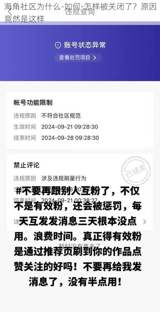 海角社区为什么-如何-怎样被关闭了？原因竟然是这样