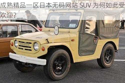 成熟精品一区日本无码网站 SUV 为何如此受欢迎？