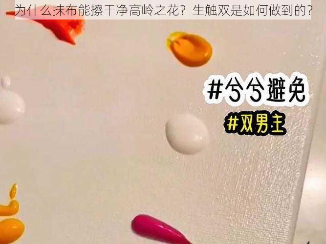 为什么抹布能擦干净高岭之花？生触双是如何做到的？