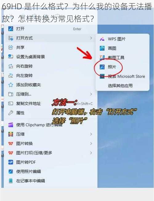 69HD 是什么格式？为什么我的设备无法播放？怎样转换为常见格式？