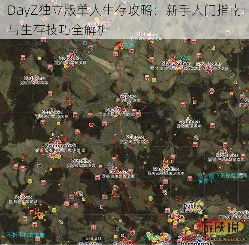 DayZ独立版单人生存攻略：新手入门指南与生存技巧全解析