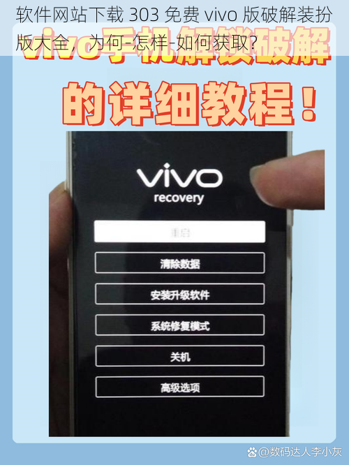 软件网站下载 303 免费 vivo 版破解装扮版大全，为何-怎样-如何获取？