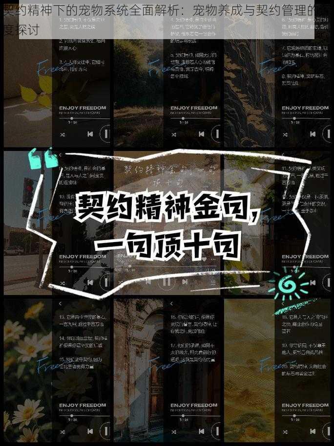 契约精神下的宠物系统全面解析：宠物养成与契约管理的深度探讨