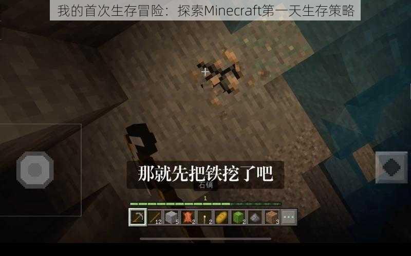 我的首次生存冒险：探索Minecraft第一天生存策略