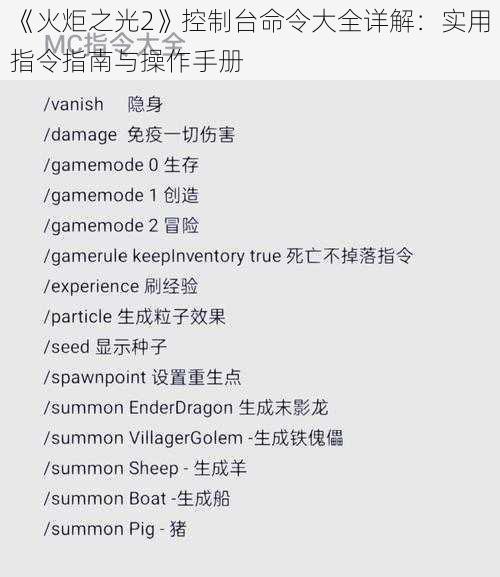 《火炬之光2》控制台命令大全详解：实用指令指南与操作手册