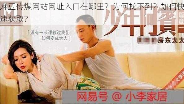 麻豆传煤网站网址入口在哪里？为何找不到？如何快速获取？