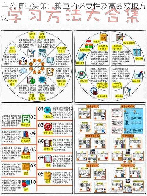 主公慎重决策：粮草的必要性及高效获取方法